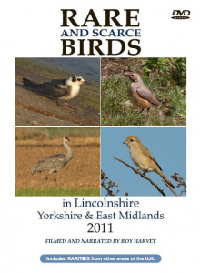 Rare and Scarce Birds in Lincolnshire, Yorkshire & East Midlands 2011 DVD